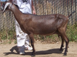 uptown2010