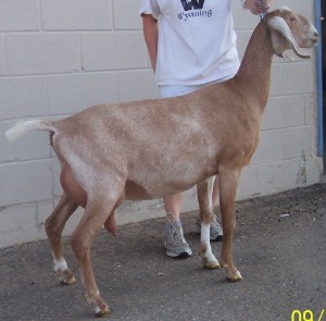 Gabby2012